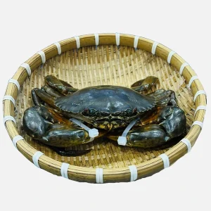 Cua Thịt Cà Mau Sống