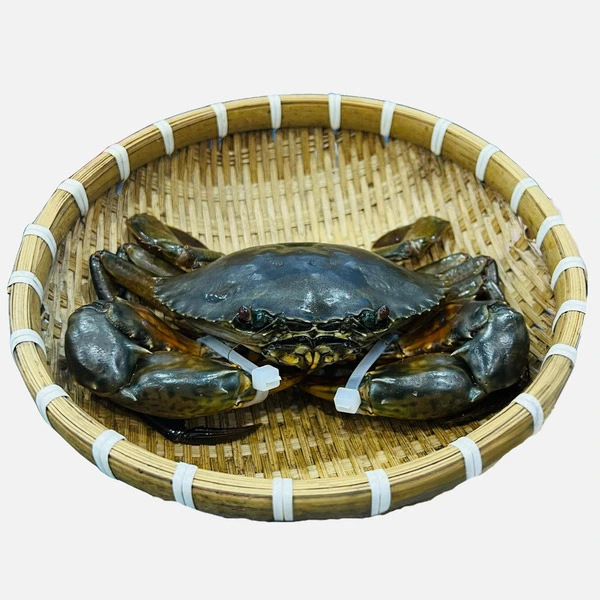 Cua Thịt Cà Mau Sống